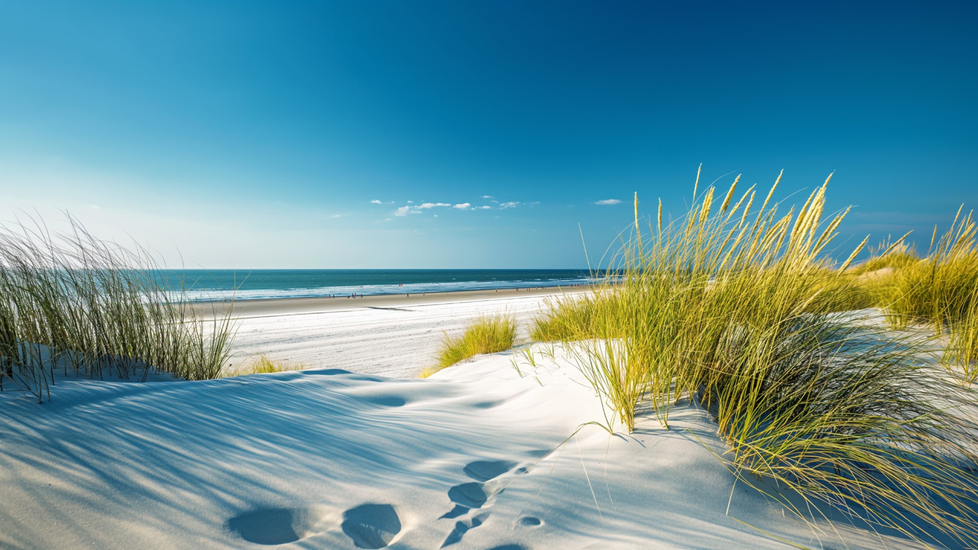Norderney Strand mit Dünen und weitem Blick aufs Meer